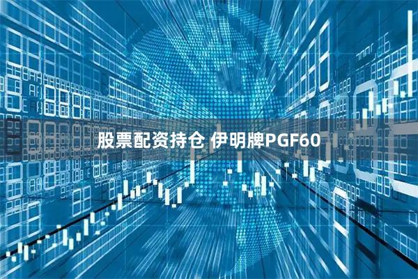 股票配资持仓 伊明牌PGF60