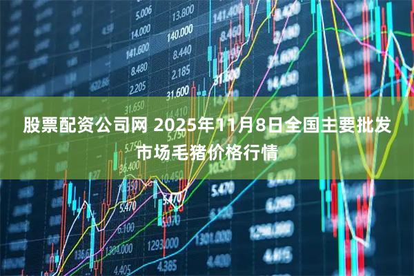 股票配资公司网 2025年11月8日全国主要批发市场毛猪价格行情