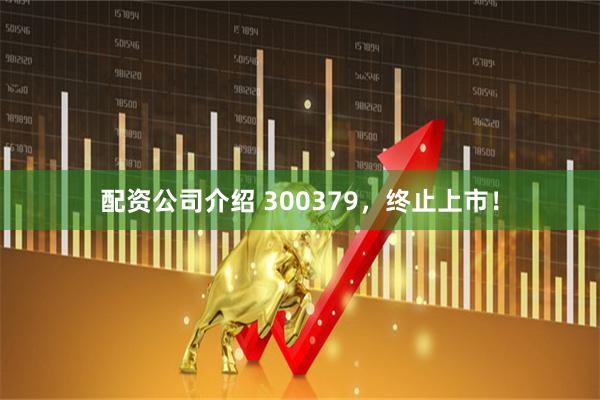 配资公司介绍 300379，终止上市！