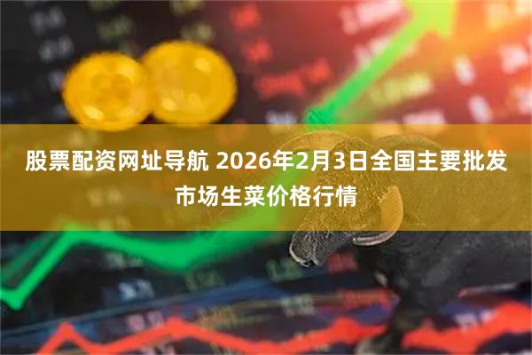 股票配资网址导航 2026年2月3日全国主要批发市场生菜价格行情